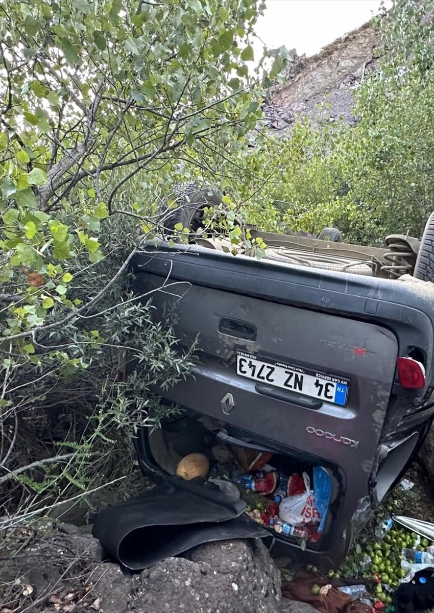 Bingöl'ün Yedisu ilçesinde hafif ticari aracın şarampole devrilmesi sonucu 5 kişi yaralandı.