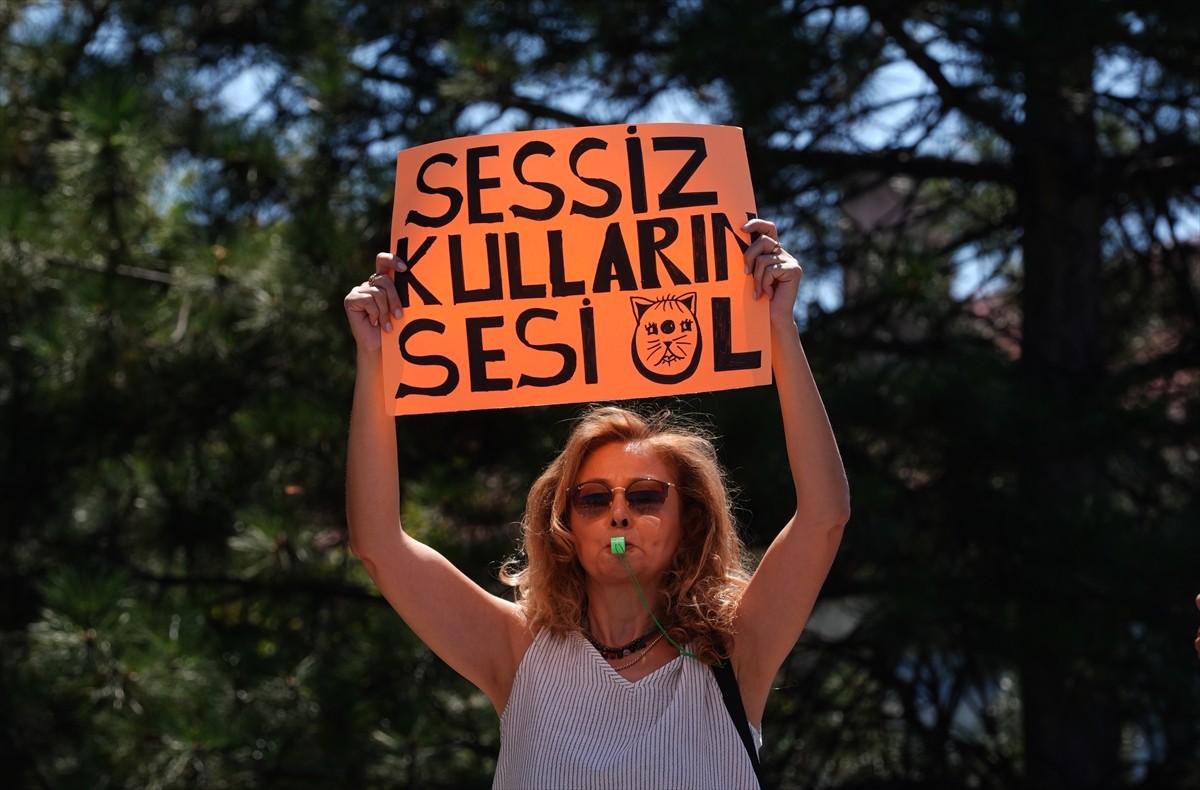 Bir grup hayvansever, sahipsiz hayvanlara yönelik "Hayvanları Koruma Kanununda Değişiklik...