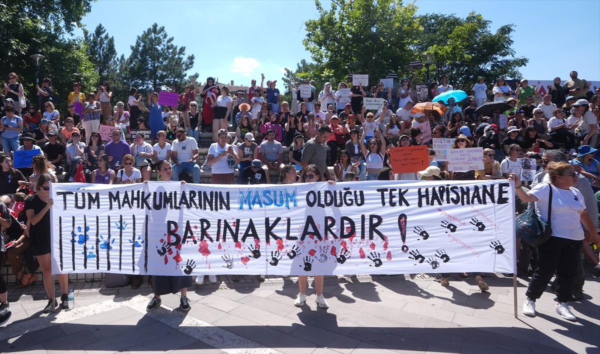 Bir grup hayvansever, sahipsiz hayvanlara yönelik "Hayvanları Koruma Kanununda Değişiklik...