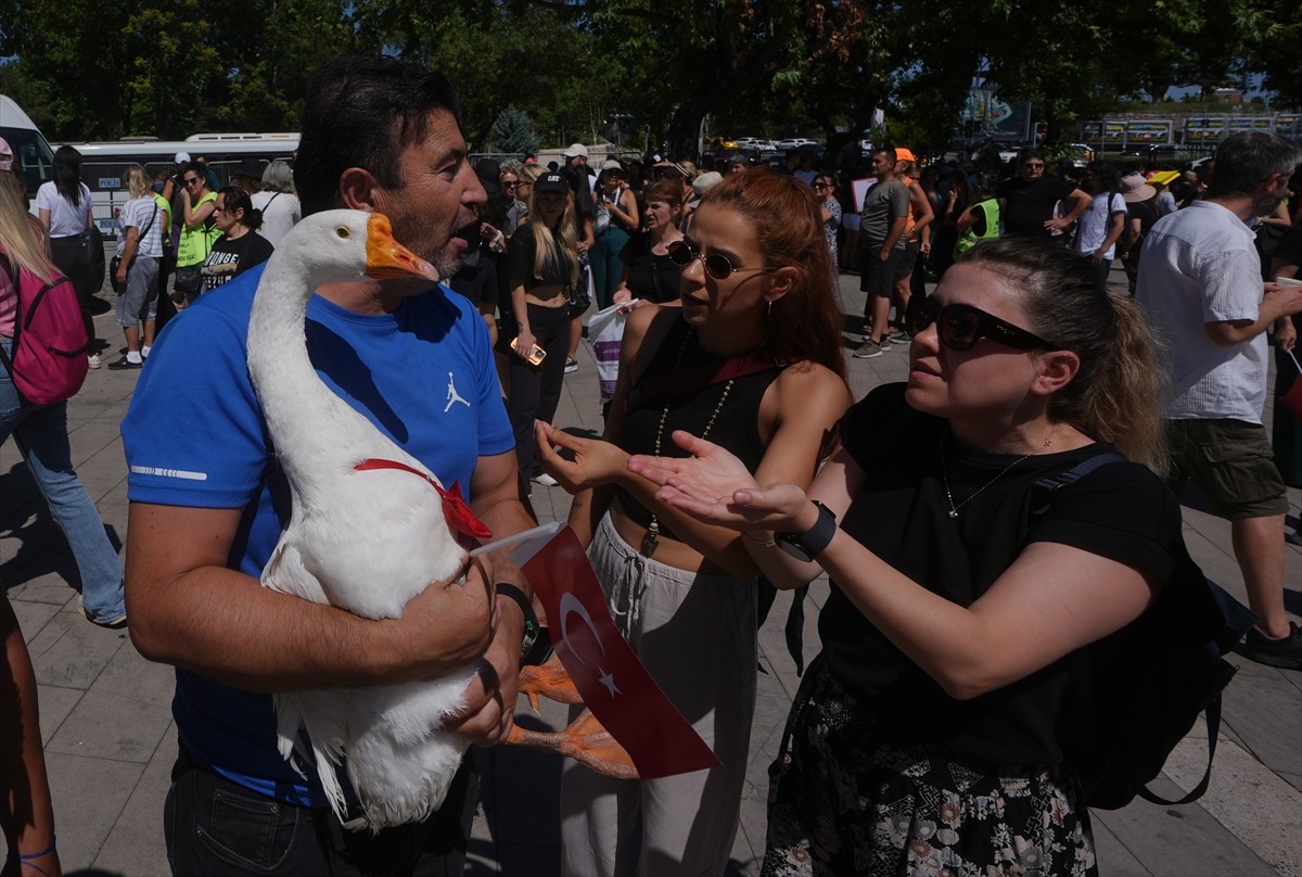 Bir grup hayvansever, sahipsiz hayvanlara yönelik "Hayvanları Koruma Kanununda Değişiklik...