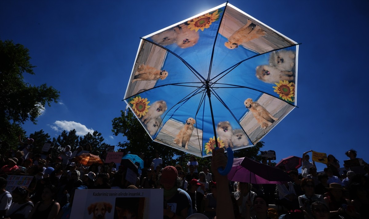 Bir grup hayvansever, sahipsiz hayvanlara yönelik "Hayvanları Koruma Kanununda Değişiklik...