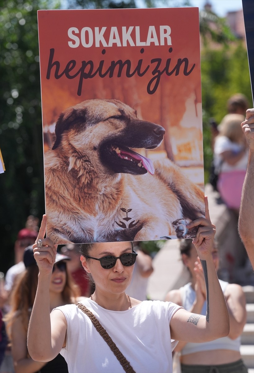 Bir grup hayvansever, sahipsiz hayvanlara yönelik "Hayvanları Koruma Kanununda Değişiklik...