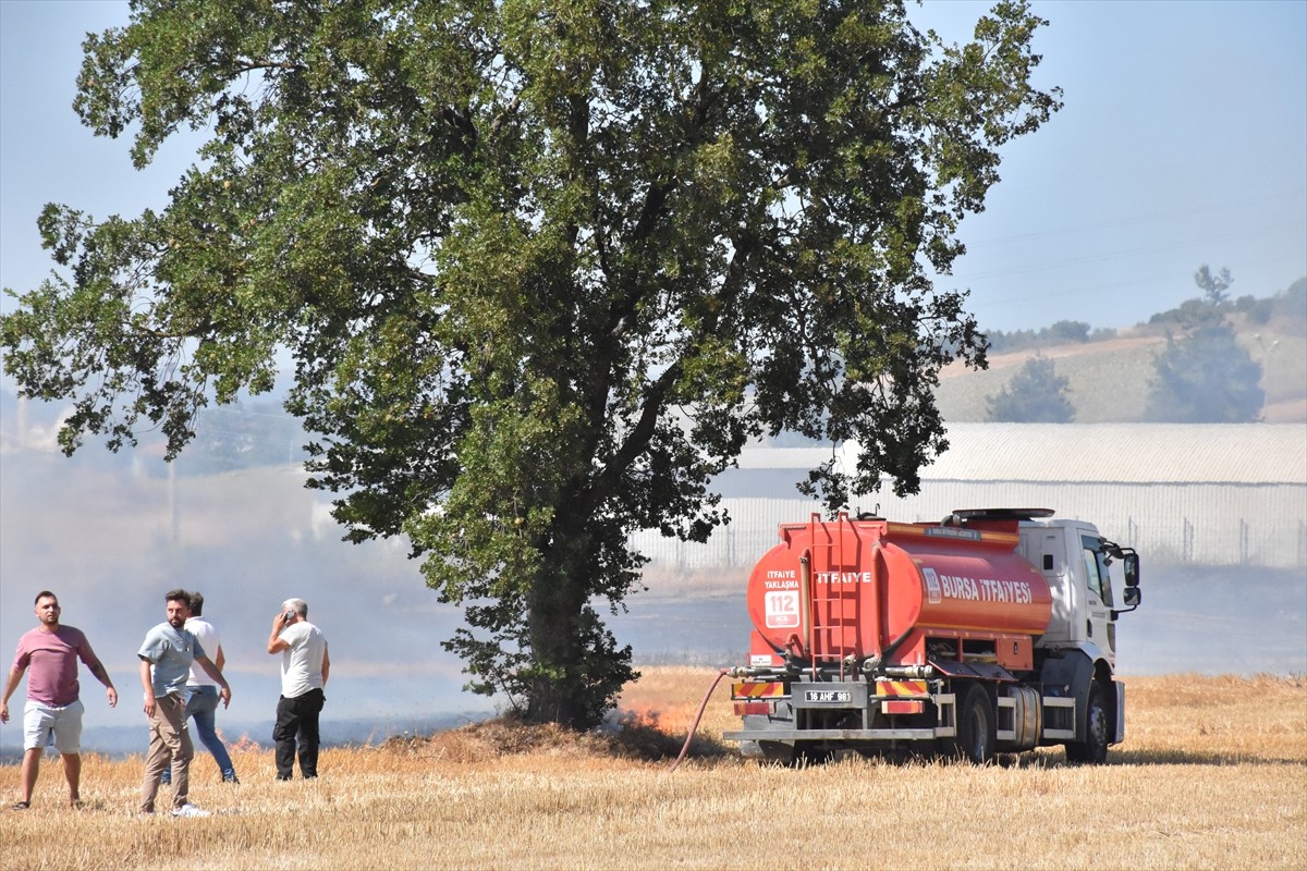 Bursa'nın Nilüfer ilçesinde yerleşim alanını tehdit eden anız yangını, ekiplerce kontrol altına...