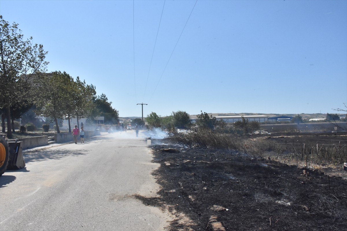 Bursa'nın Nilüfer ilçesinde yerleşim alanını tehdit eden anız yangını, ekiplerce kontrol altına...