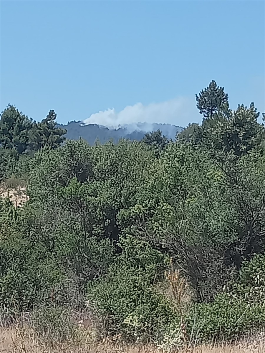 Bursa'nın Orhaneli ilçesi ile Keles ilçesi arasında ormanlık alanda çıkan yangına müdahale...