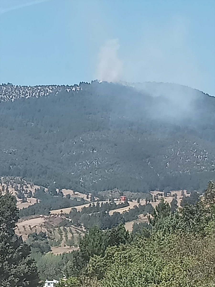 Bursa'nın Orhaneli ilçesi ile Keles ilçesi arasında ormanlık alanda çıkan yangına müdahale...