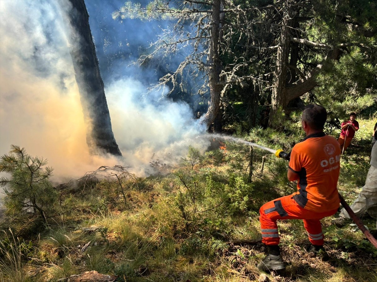 Bursa'nın Orhaneli ilçesi ile Keles ilçesi arasındaki ormanlık alanda çıkan yangın kontrol altına...