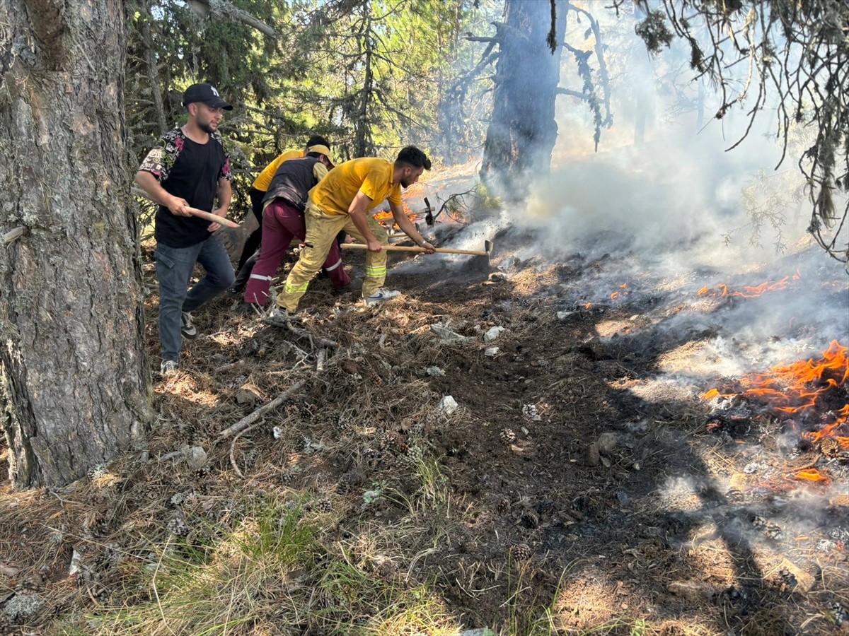 Bursa'nın Orhaneli ilçesi ile Keles ilçesi arasındaki ormanlık alanda çıkan yangın kontrol altına...