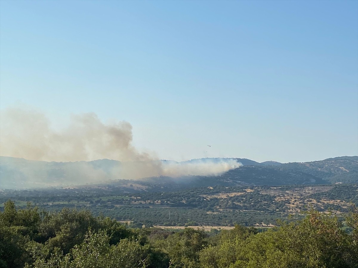Çanakkale'nin Ayvacık ilçesinde ormanlık alanda başlayan yangına havadan ve karadan müdahale...