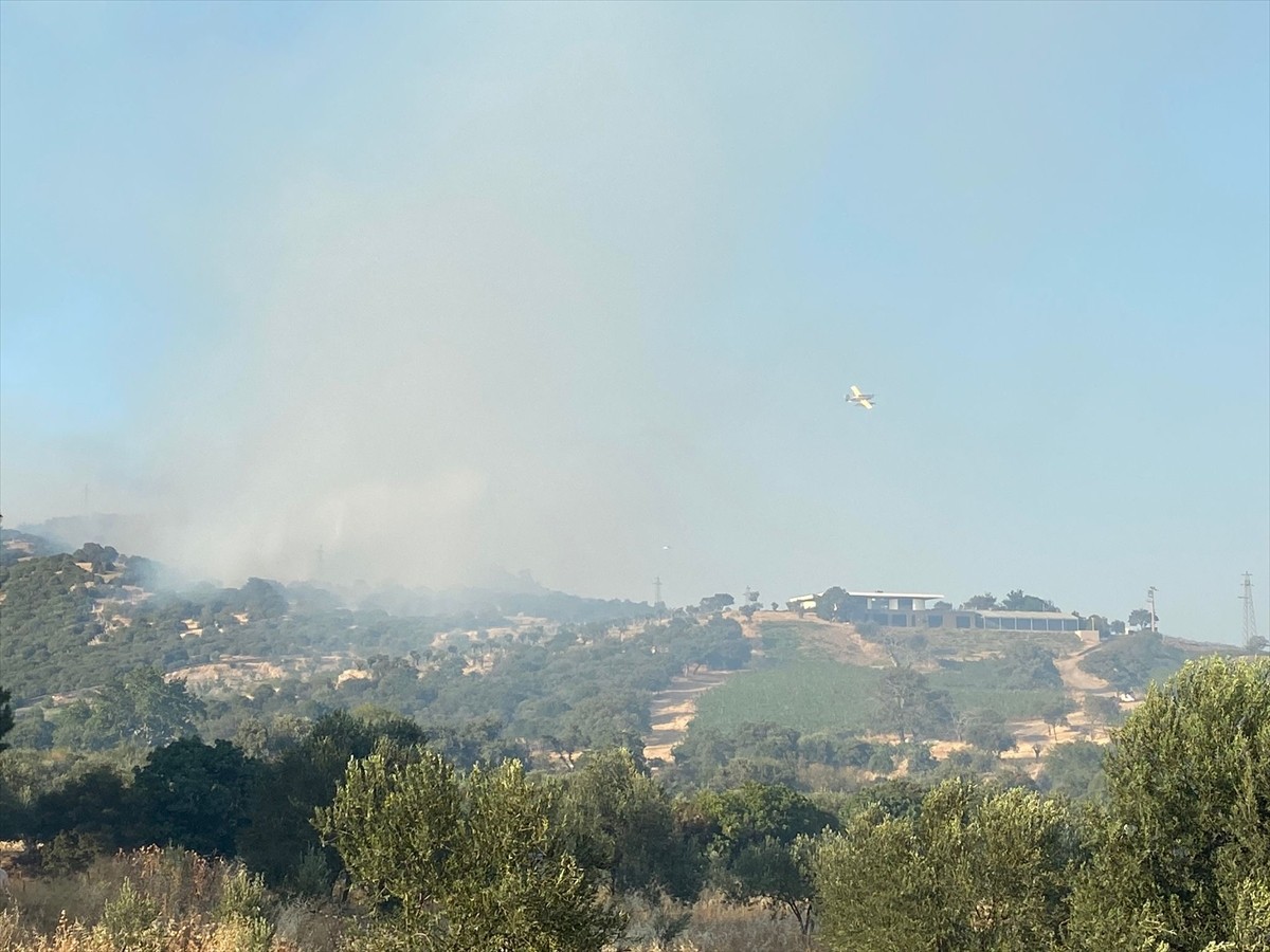 Çanakkale'nin Ayvacık ilçesinde ormanlık alanda başlayan yangına havadan ve karadan müdahale...