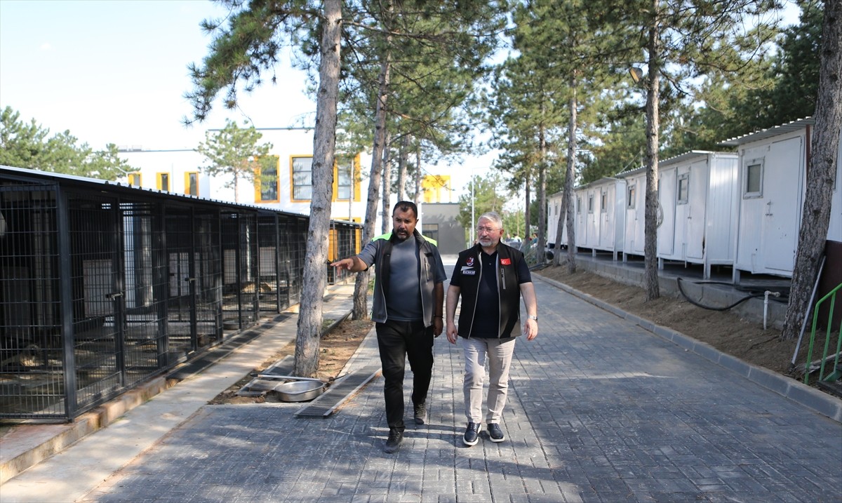 Çorum'da, Valilik ve 16 belediyenin katılımıyla kurulan Sahipsiz Hayvanları Koruma Birliği...