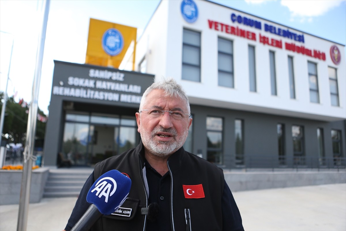 Çorum'da, Valilik ve 16 belediyenin katılımıyla kurulan Sahipsiz Hayvanları Koruma Birliği...