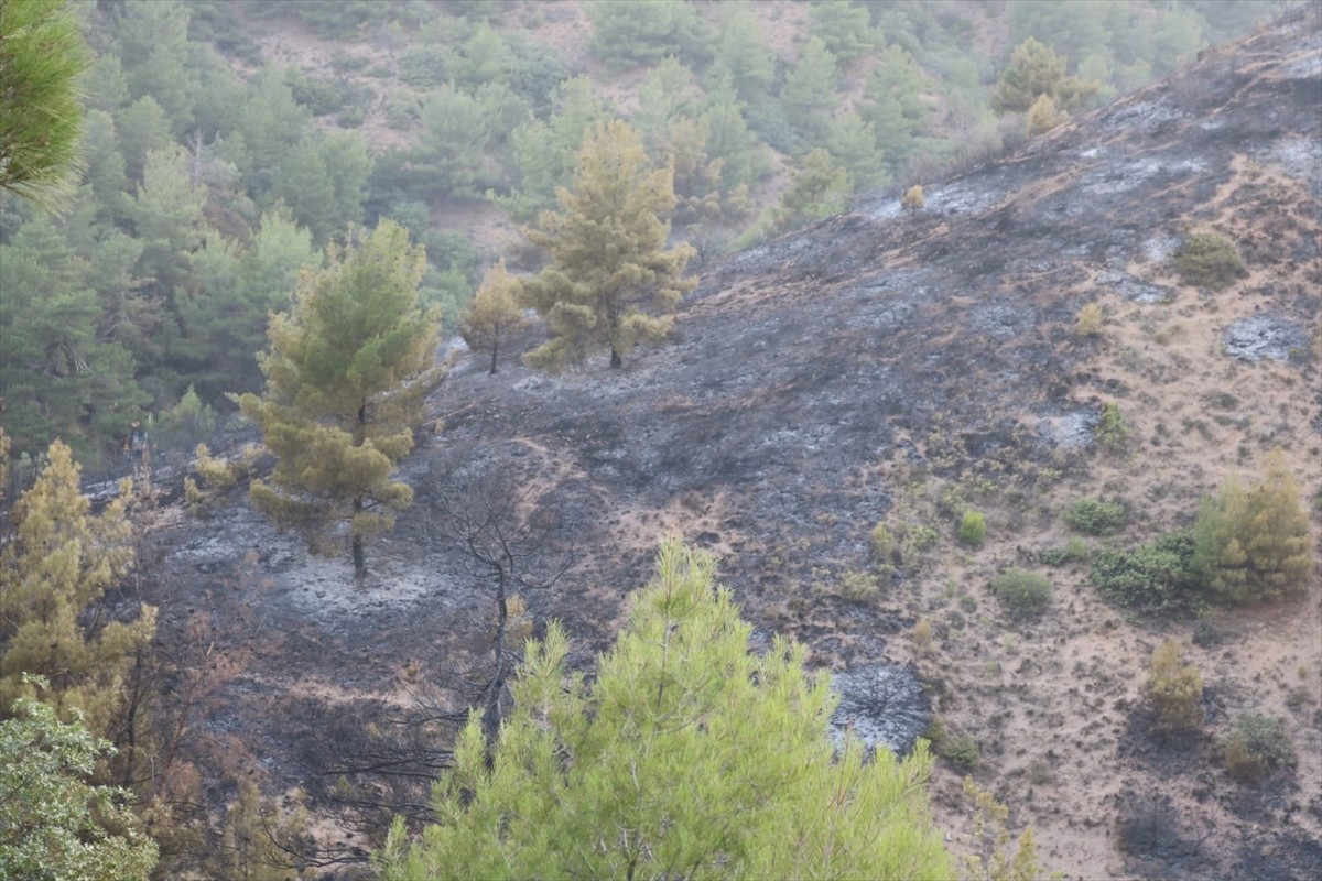 Denizli'nin Çivril ilçesinde çıkan orman yangını havadan ve karadan müdahaleyle kontrol altına...