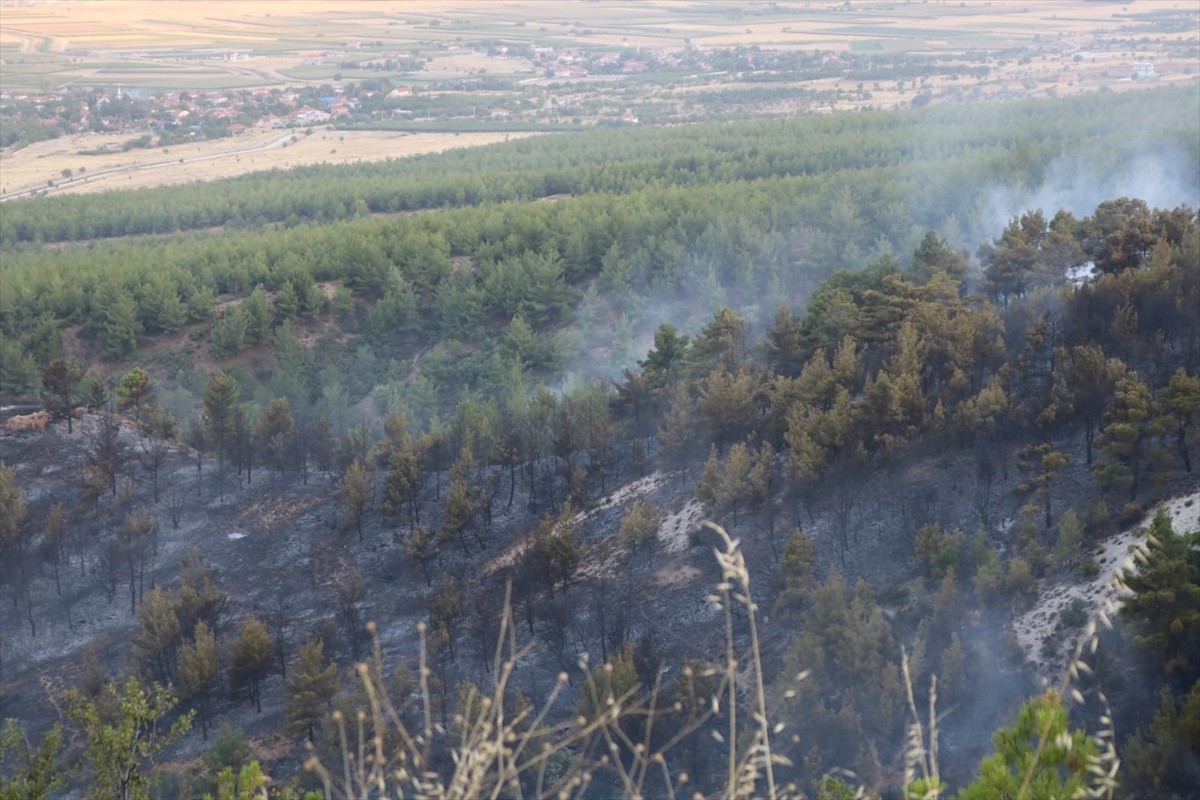 Denizli'nin Çivril ilçesinde çıkan orman yangını havadan ve karadan müdahaleyle kontrol altına...