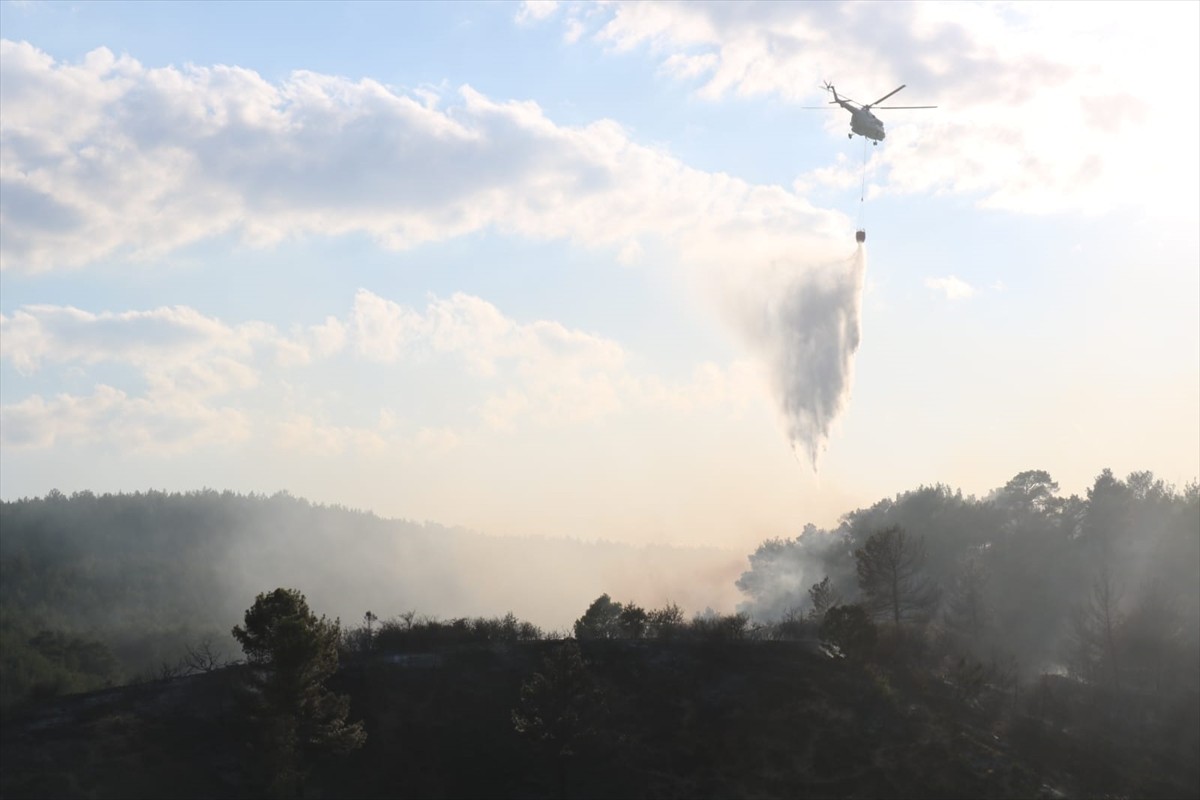 Denizli'nin Çivril ilçesinde çıkan orman yangını havadan ve karadan müdahaleyle kontrol altına...