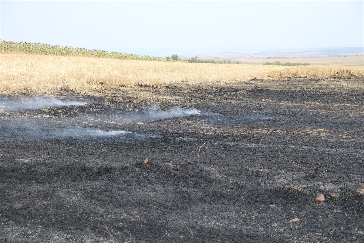 Edirne'de hasat edilmiş buğday tarlasında çıkan yangın, Orman İşletme Müdürlüğü ve itfaiye...