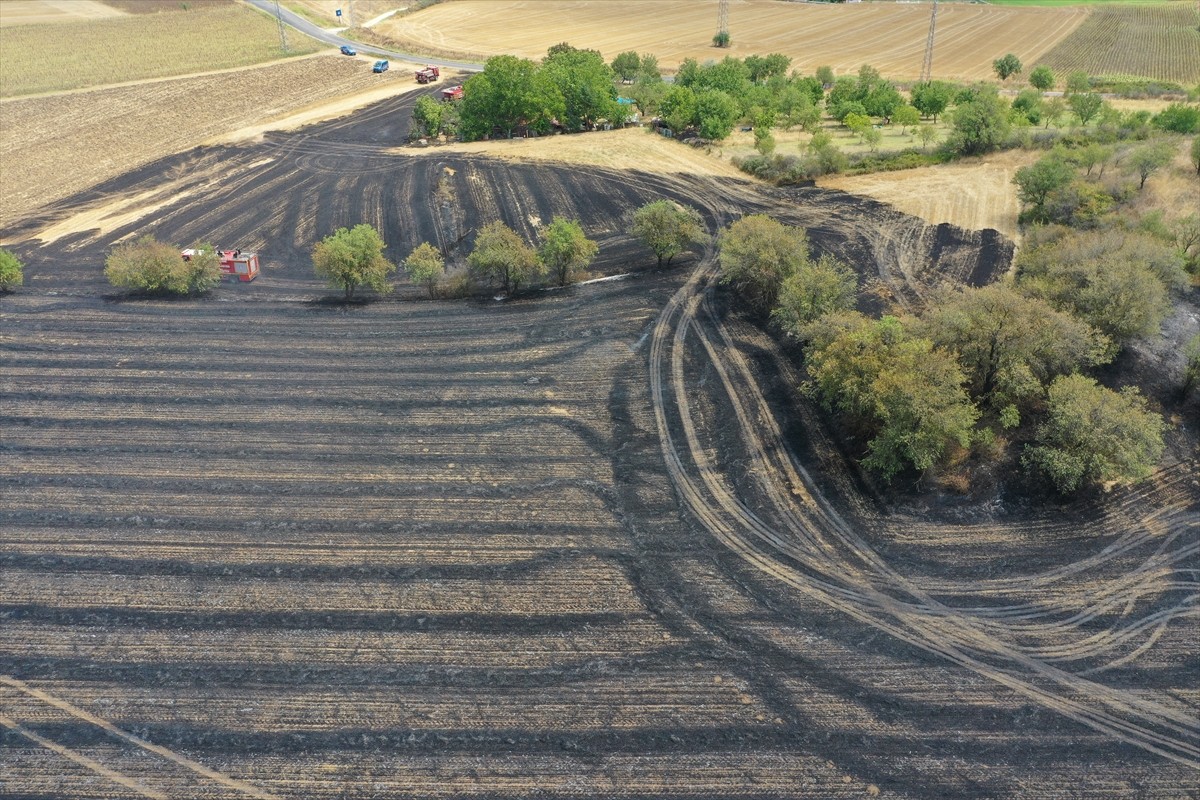 Edirne'de hasat edilmiş buğday tarlasında çıkan yangın, Orman İşletme Müdürlüğü ve itfaiye...