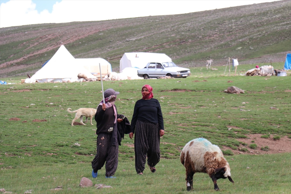 Erzurum'un 2 bin 600 rakımındaki Dumlubaba Yaylası'nda konaklayan göçerlerin günlük yaşamı zorlu...