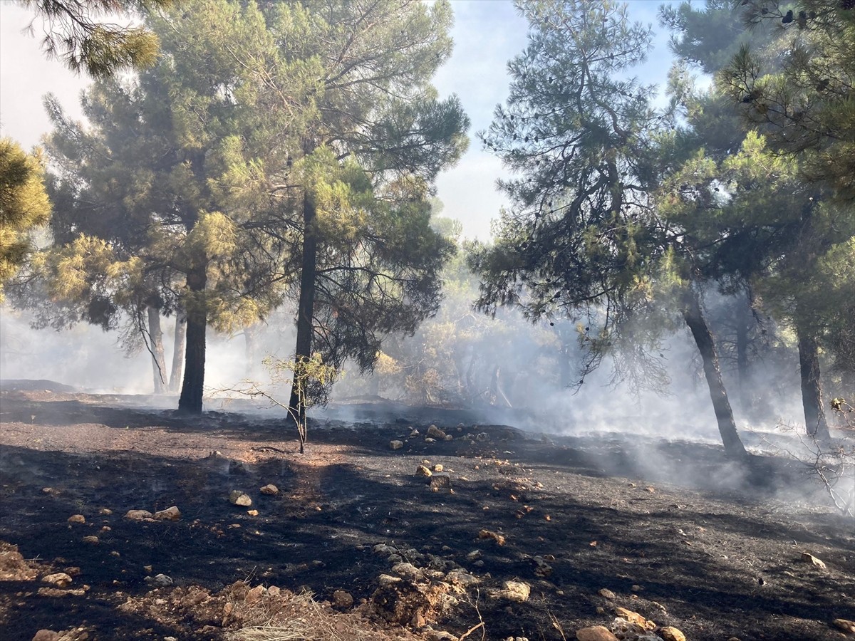 Gaziantep'te çıkan orman yangınına Orman İşletme Müdürlüğü ve Büyükşehir Belediyesi itfaiye...