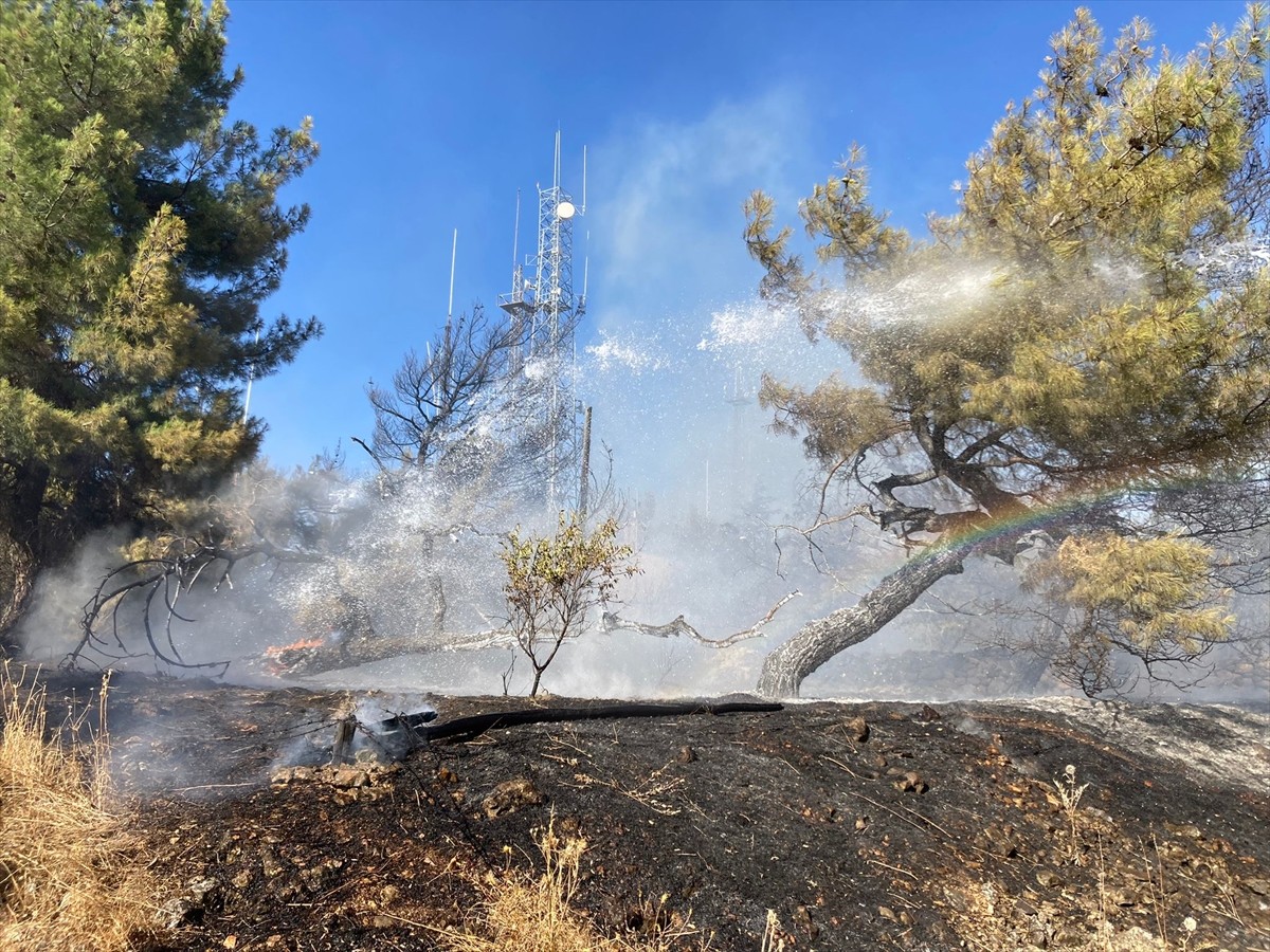Gaziantep'te çıkan orman yangınına Orman İşletme Müdürlüğü ve Büyükşehir Belediyesi itfaiye...