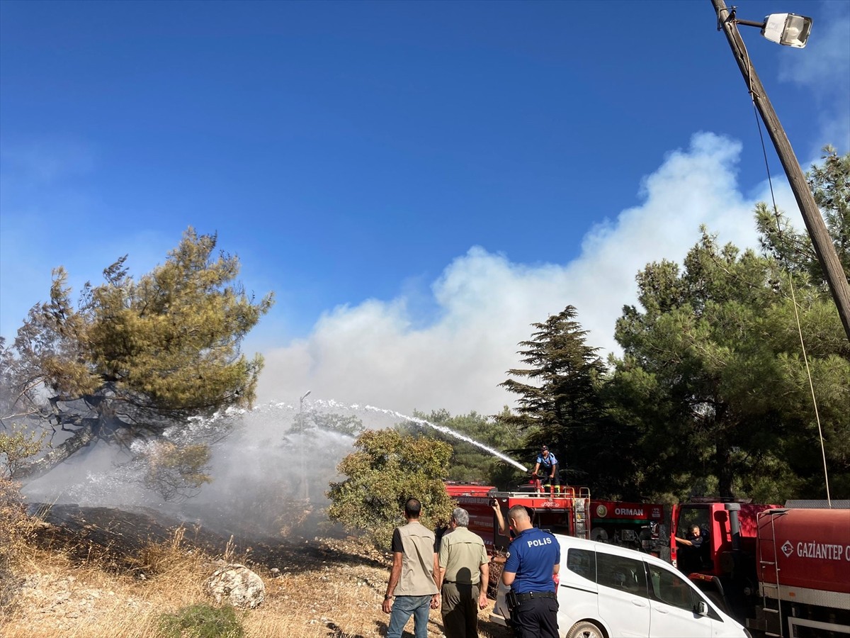 Gaziantep'te çıkan orman yangınına Orman İşletme Müdürlüğü ve Büyükşehir Belediyesi itfaiye...