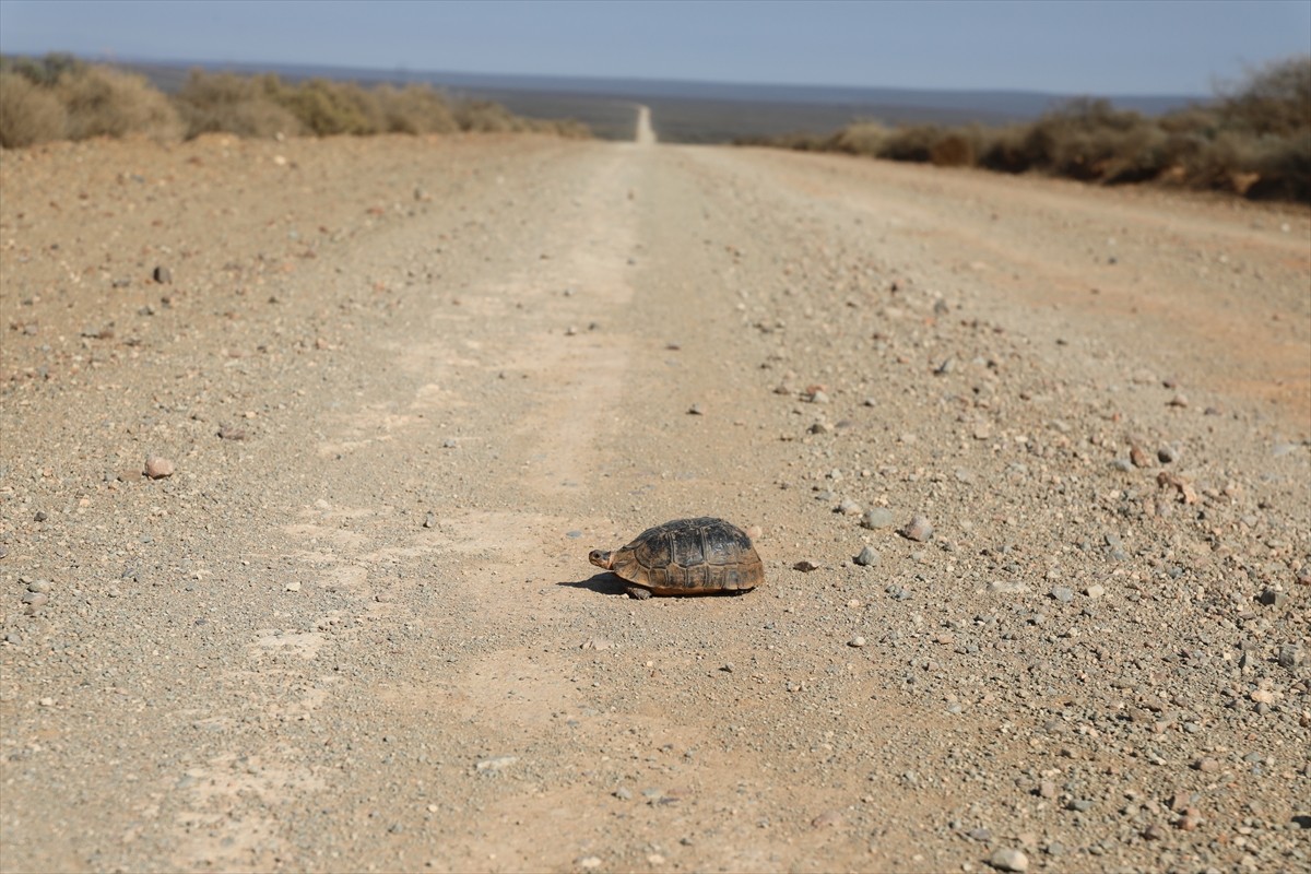 Güney Afrika Cumhuriyeti'nin güneybatısından başlayıp, Atlas Okyanusu sahilleri boyunca Namib...