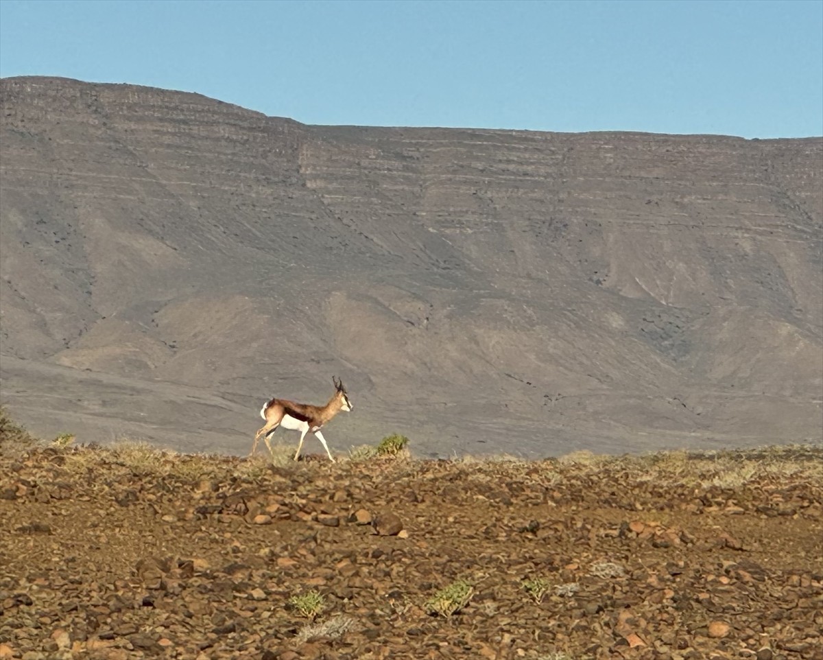 Güney Afrika Cumhuriyeti'nin güneybatısından başlayıp, Atlas Okyanusu sahilleri boyunca Namib...
