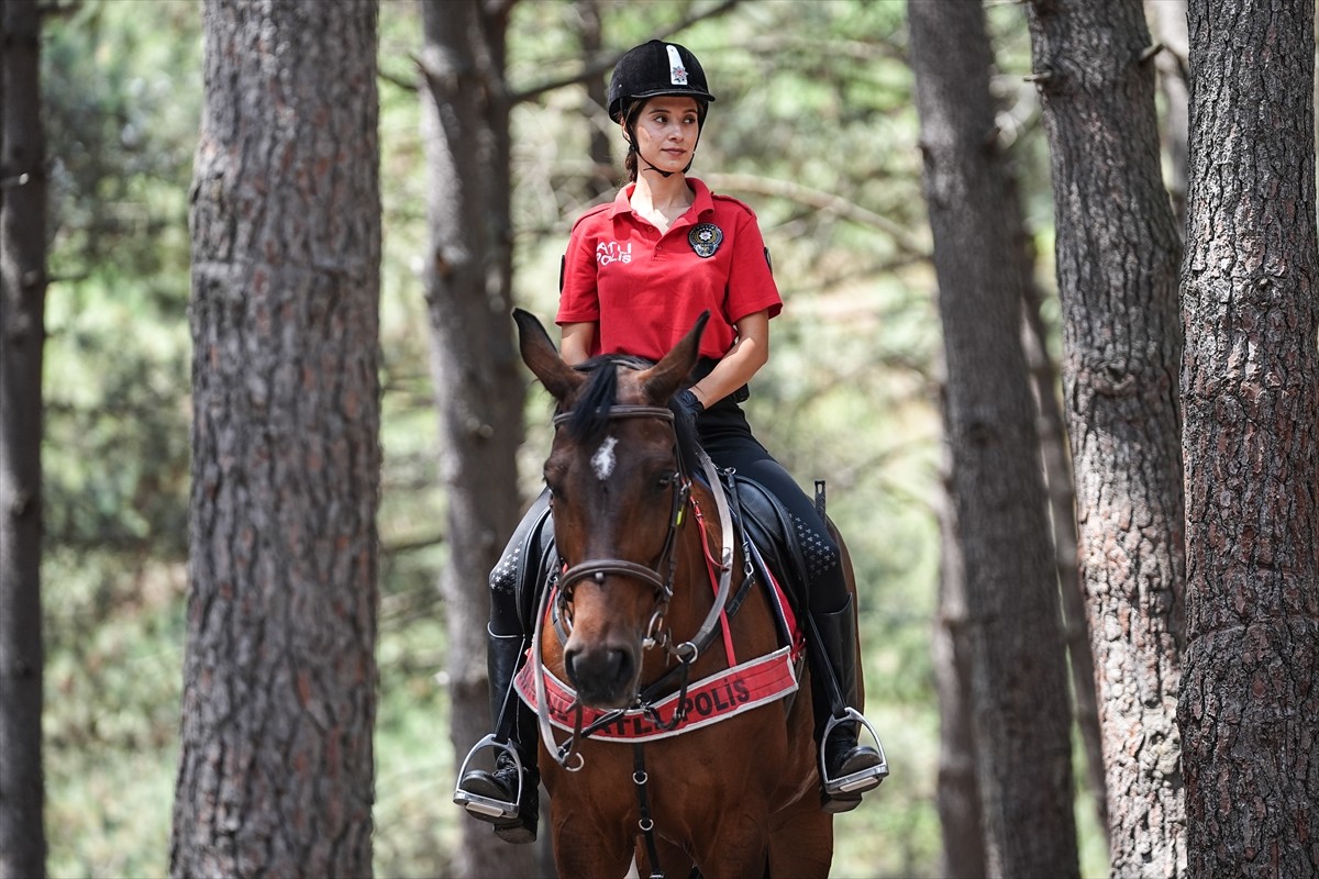 İstanbul Emniyet Müdürlüğüne bağlı ekipler, orman yangınlarıyla mücadele kapsamında Sultangazi'de...