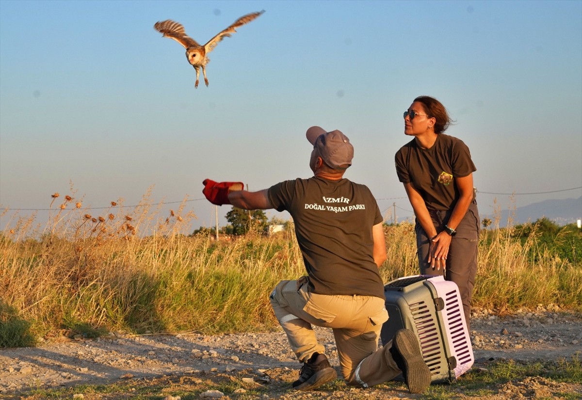 İzmir'de, 40 gün önce annesiz kalınca İzmir Doğal Yaşam Parkı'na getirilerek özenle bakılan 6...