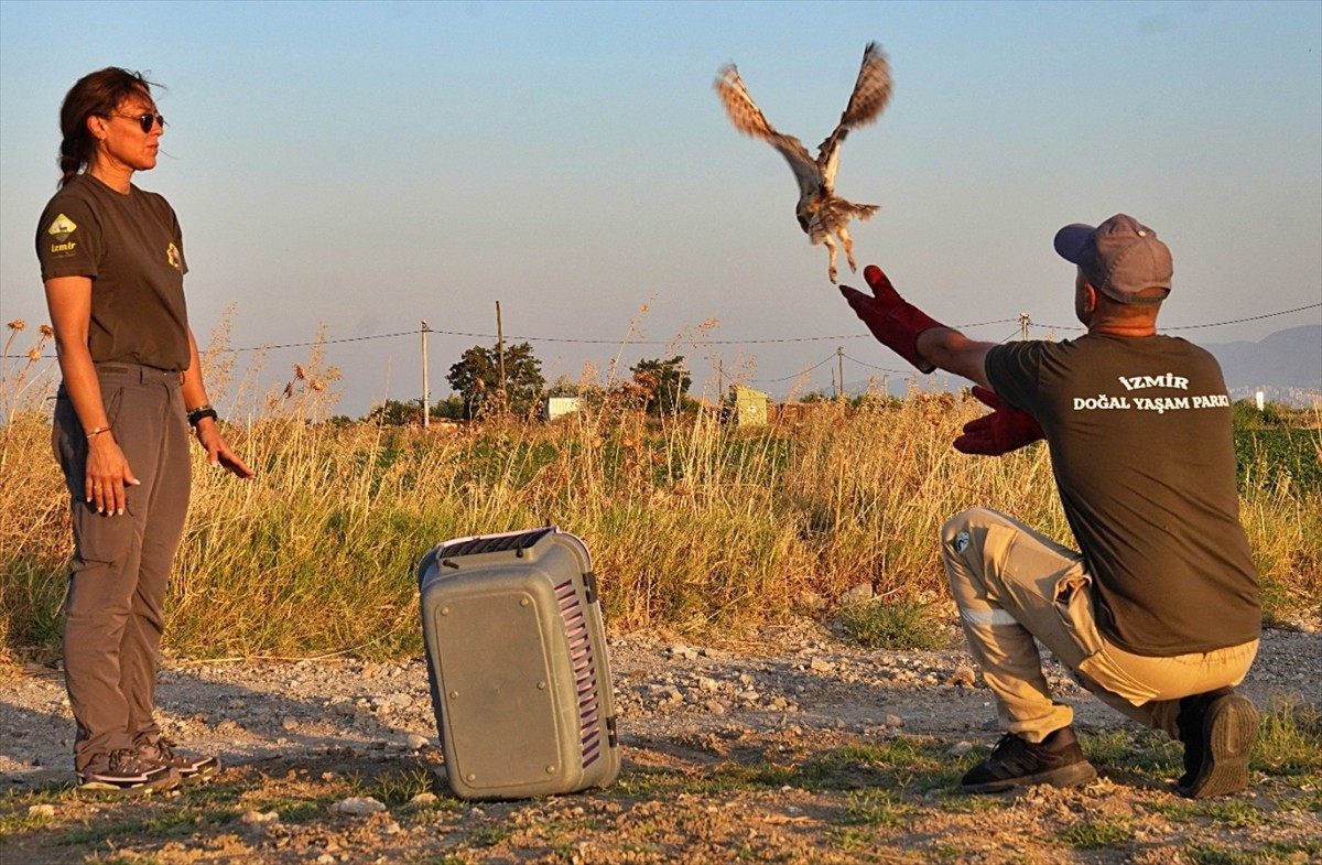 İzmir'de, 40 gün önce annesiz kalınca İzmir Doğal Yaşam Parkı'na getirilerek özenle bakılan 6...
