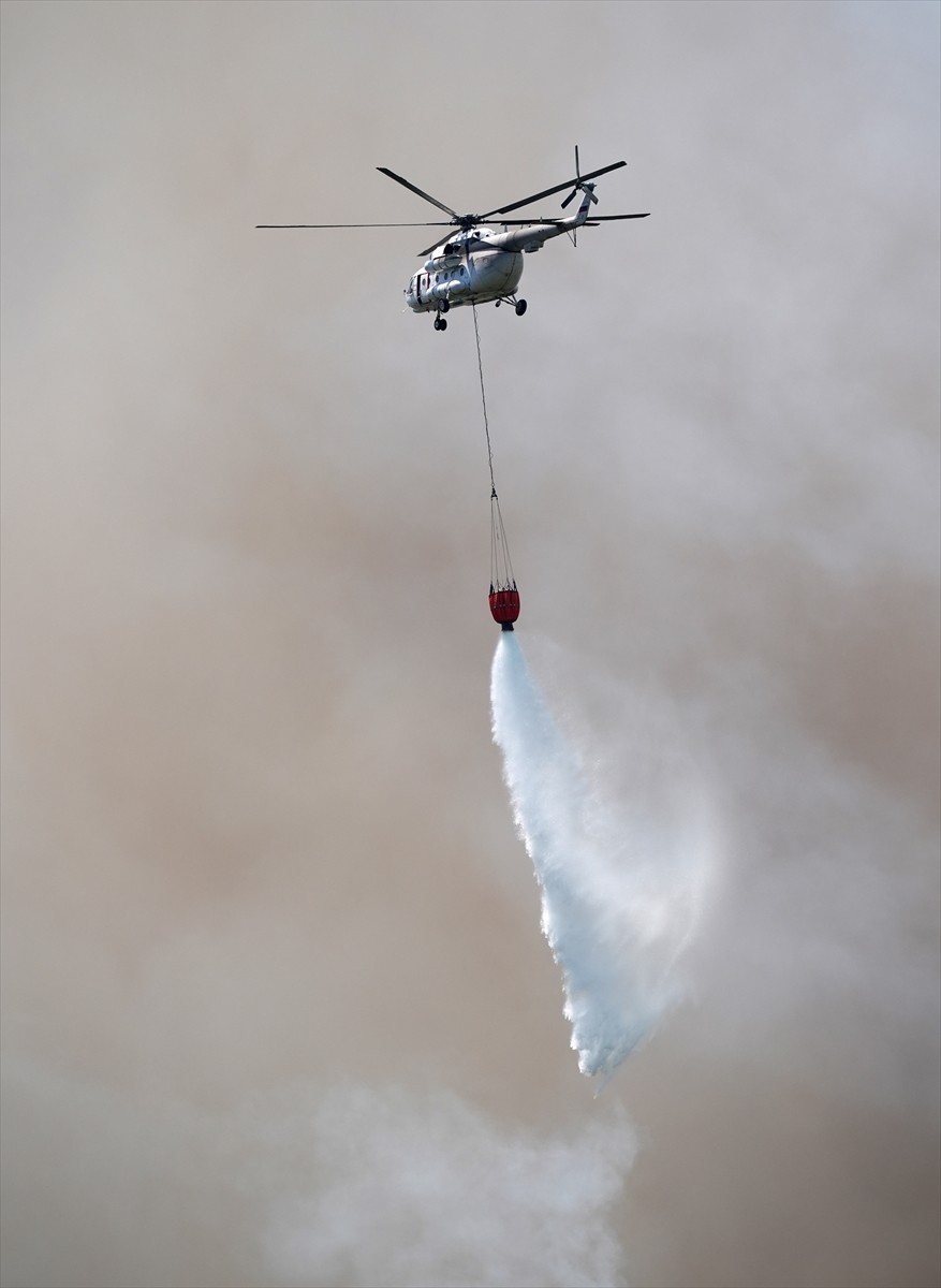 İzmir'in Urla ilçesinde çıkan orman yangınına havadan ve karadan müdahale ediliyor. 