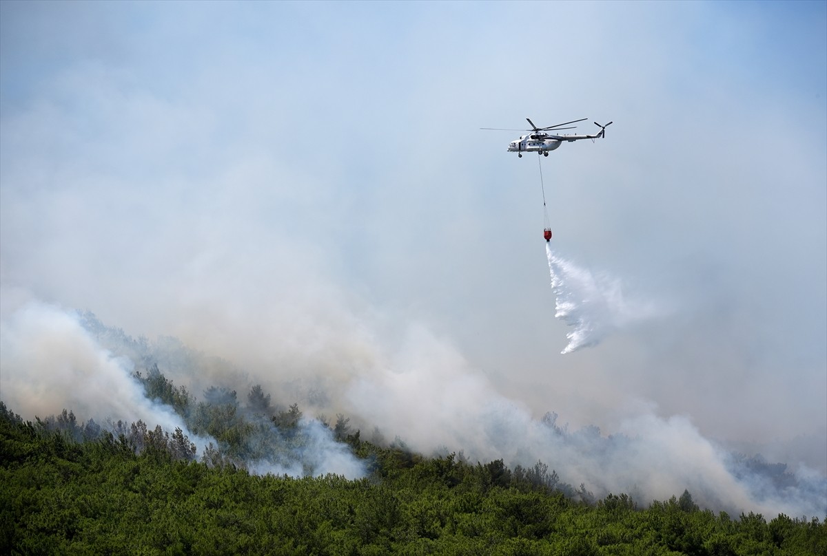 İzmir'in Urla ilçesinde çıkan orman yangınına havadan ve karadan müdahale ediliyor. 