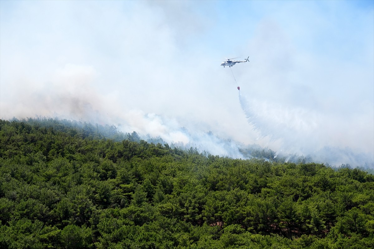 İzmir'in Urla ilçesinde çıkan orman yangınına havadan ve karadan müdahale ediliyor. 