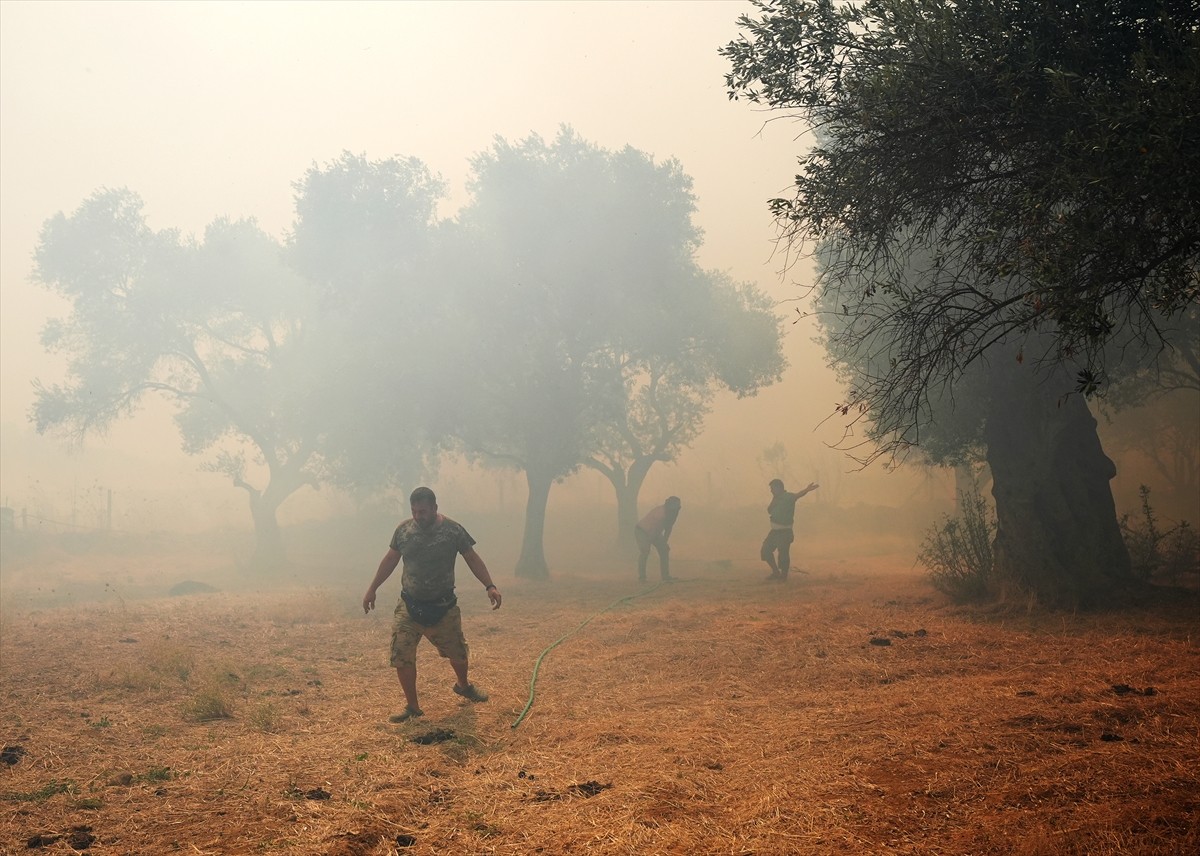 İzmir'in Urla ilçesinin Çeşmealtı Mahallesi'ndeki yerleşim yerlerine yakın ormanlık alanda, henüz...
