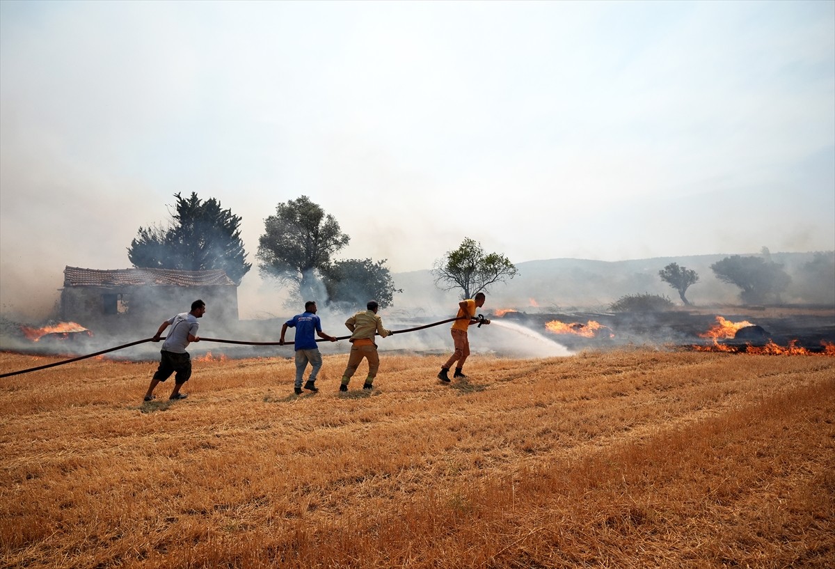 İzmir'in Urla ilçesinin Çeşmealtı Mahallesi'ndeki yerleşim yerlerine yakın ormanlık alanda, henüz...