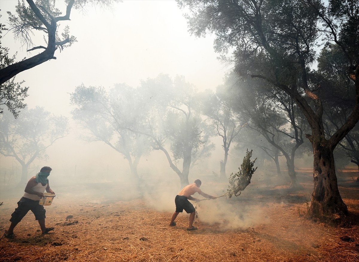 İzmir'in Urla ilçesinin Çeşmealtı Mahallesi'ndeki yerleşim yerlerine yakın ormanlık alanda, henüz...