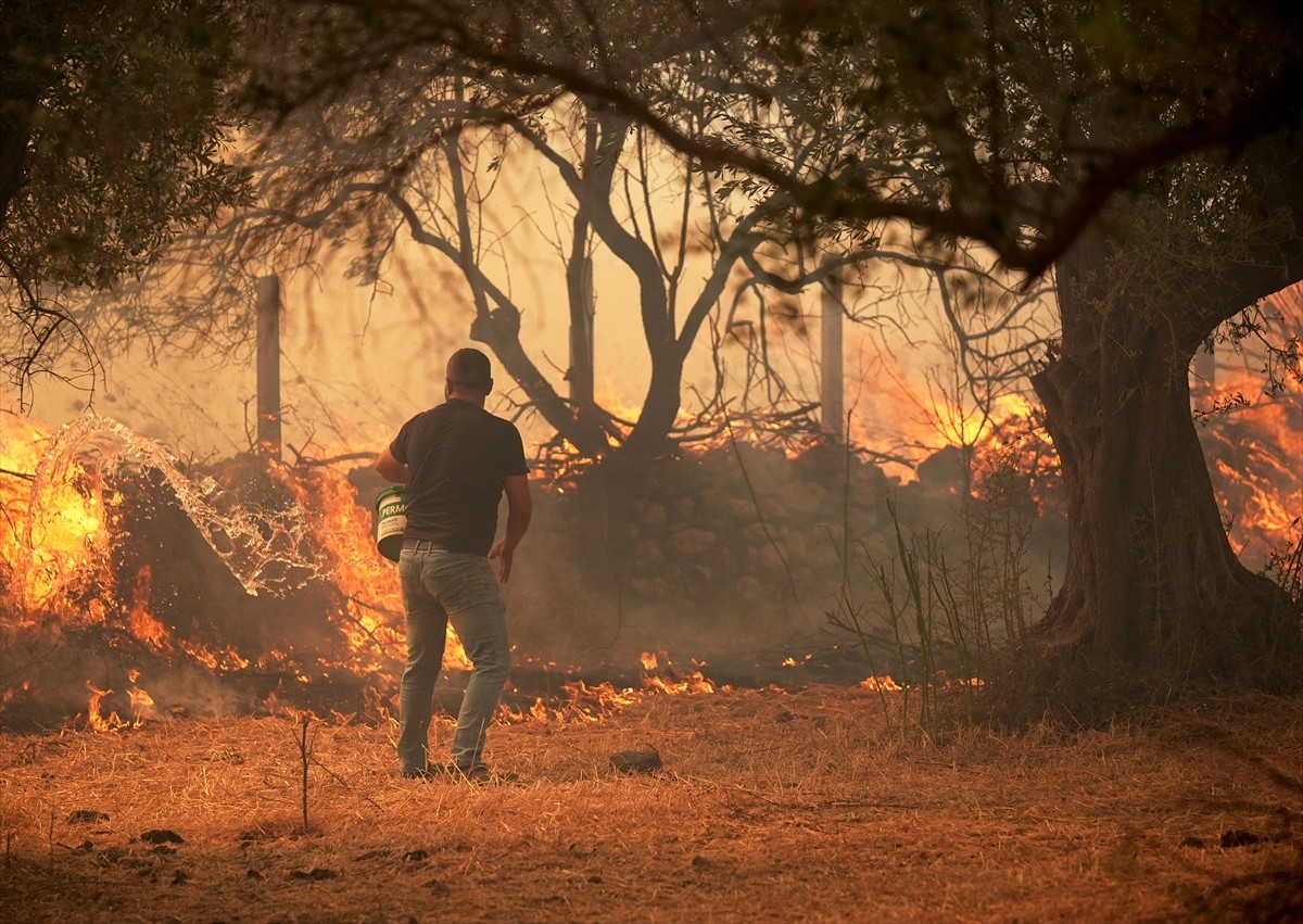 İzmir'in Urla ilçesinin Çeşmealtı Mahallesi'ndeki yerleşim yerlerine yakın ormanlık alanda, henüz...
