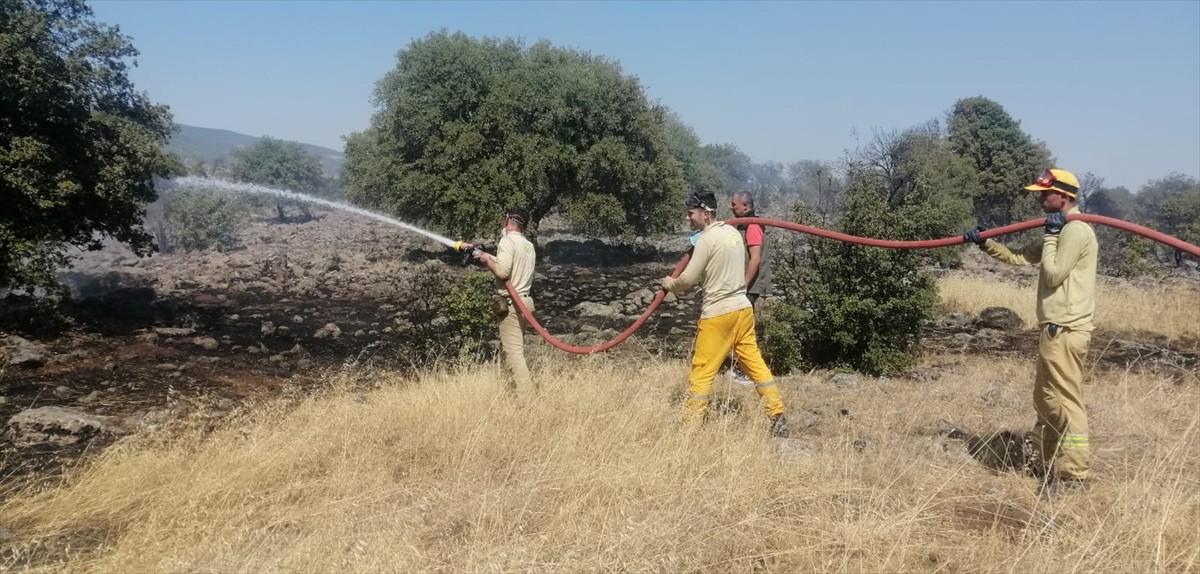 Kahramanmaraş'ın Dulkadiroğlu ilçesinde çıkan orman yangını kontrol altına alındı.