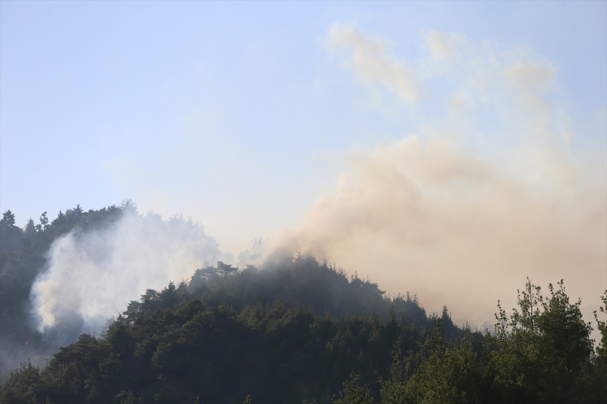 Kahramanmaraş'ın Onikişubat ilçesinde çıkan orman yangınına ekiplerce havadan ve karadan müdahale...