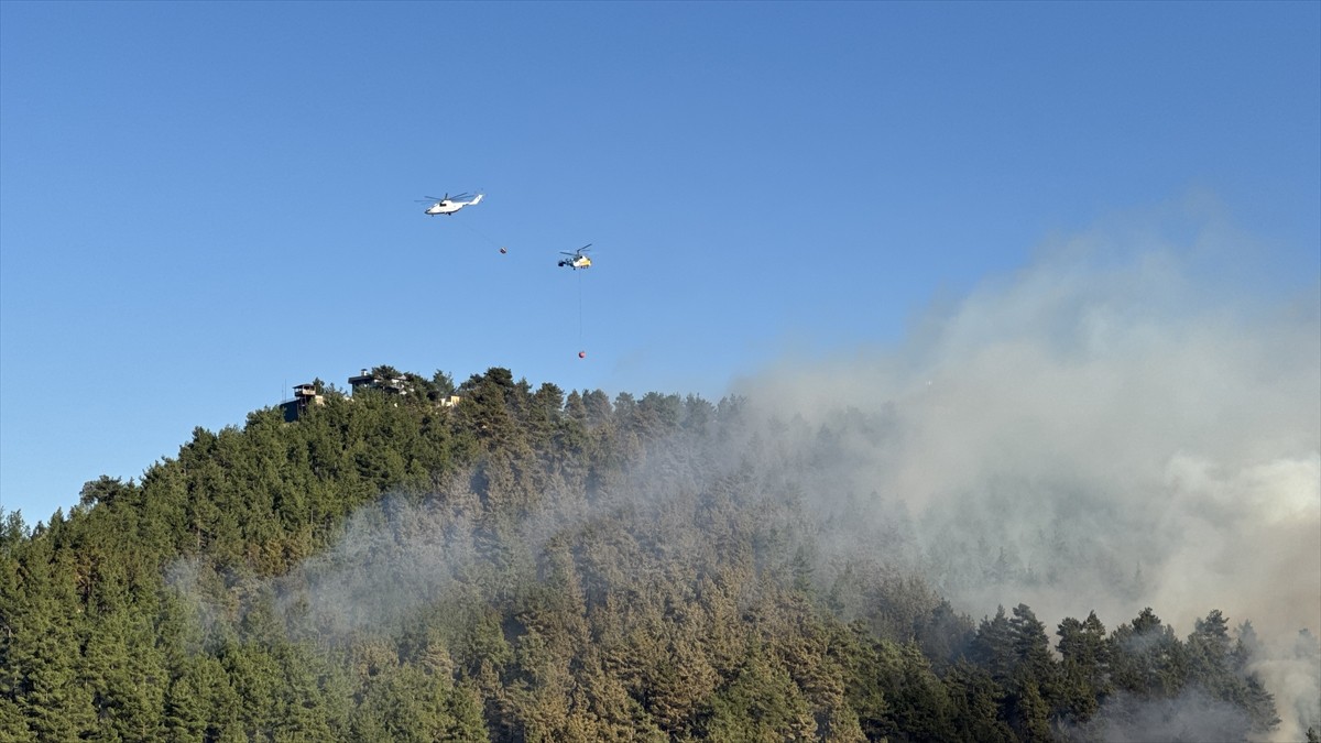 Kahramanmaraş'ın Onikişubat ilçesinde çıkan orman yangınına havadan ve karadan müdahale...