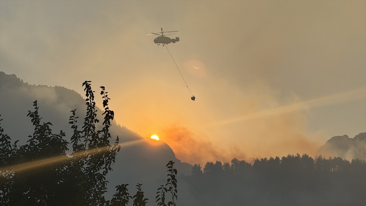 Kahramanmaraş'ın Onikişubat ilçesinde çıkan orman yangınına havadan ve karadan müdahale...