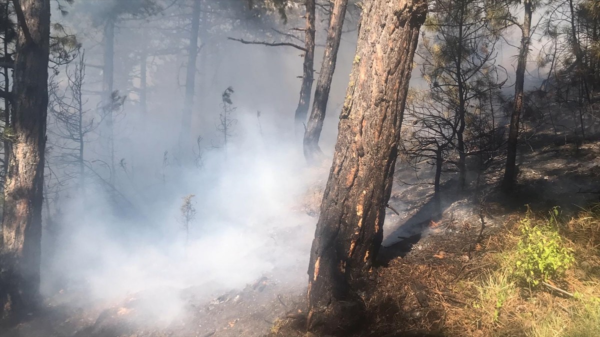 Karabük'te merkez ilçeye bağlı Kale ve Zopran köyleri mevkisindeki ormanlık alanda henüz...