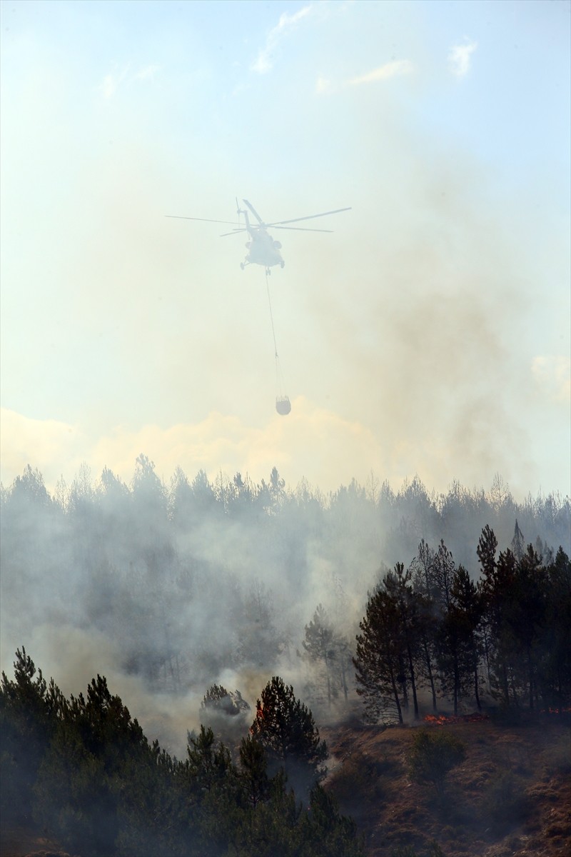 Kastamonu'da ormanlık alanda çıkan yangına ekipler karadan ve havadan müdahale etti. 
