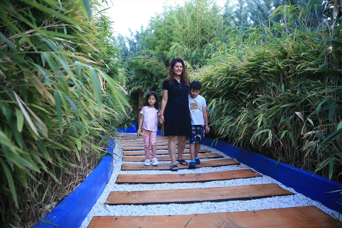 Kırşehir'de iş insanı Ercan Malkoç tarafından yaklaşık 10 dönümlük alanda oluşturulan "Neşet Ertaş...