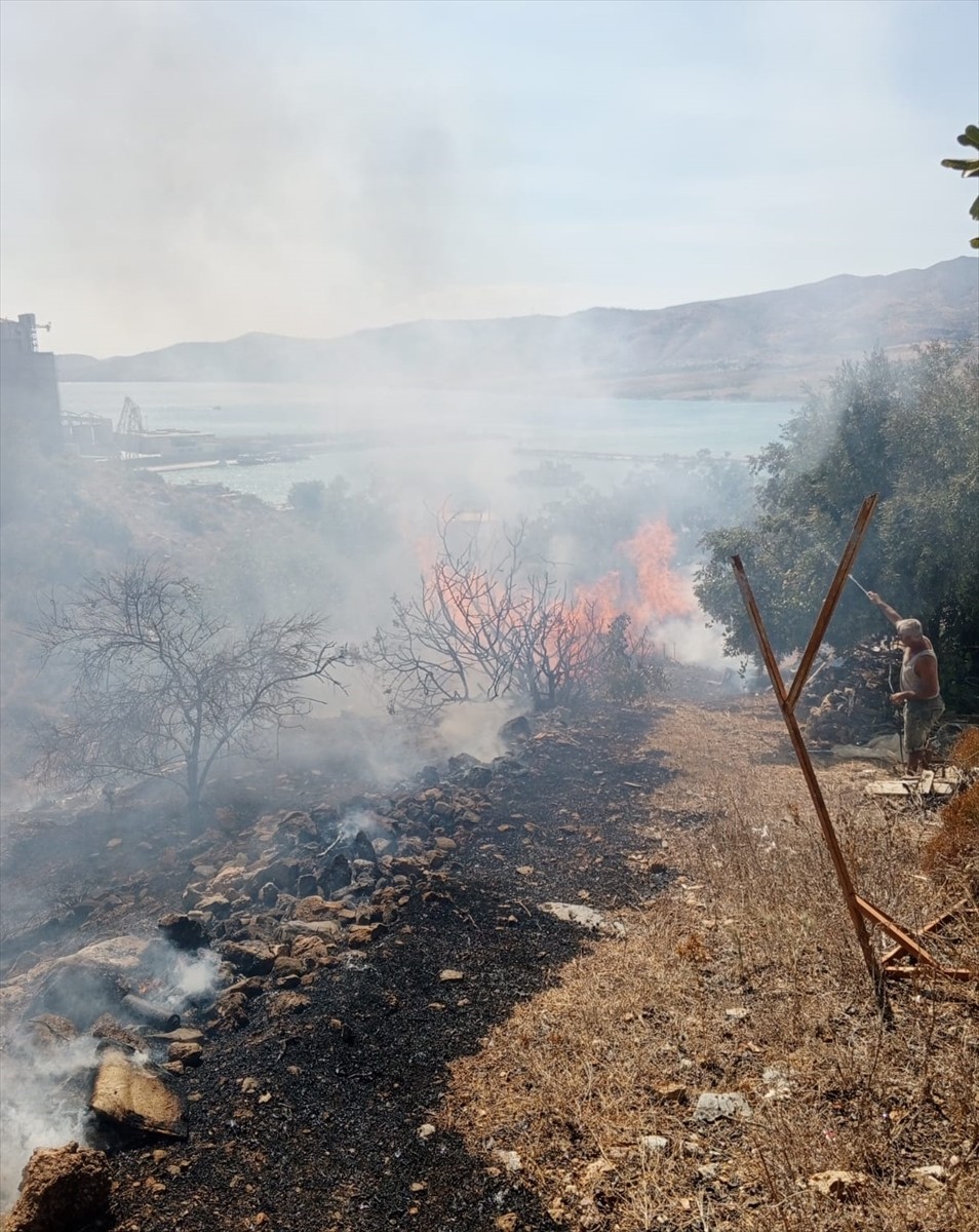 Mersin'in Silifke ilçesinde zirai alanda çıkan yangın, havadan ve karadan müdahaleyle...