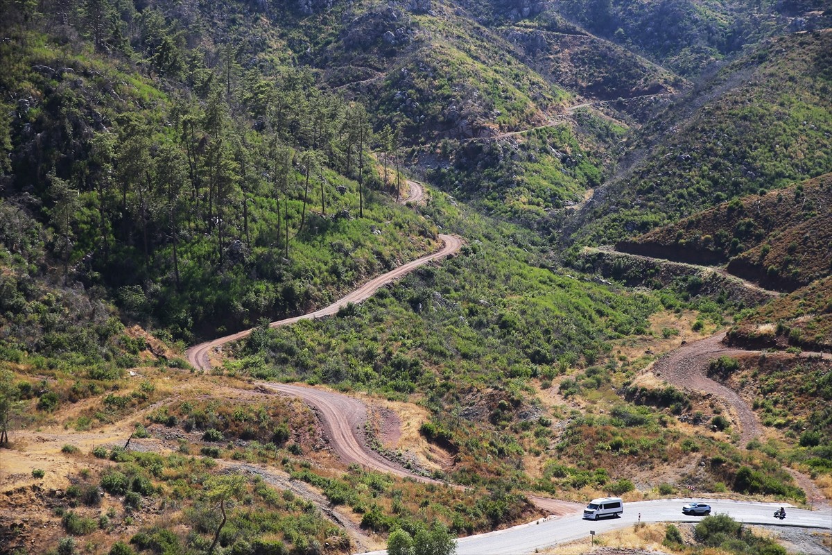 Muğla'da meydana gelen yangınlarda zarar gören ormanlık alanlar, ekiplerin yoğun çalışmasıyla...
