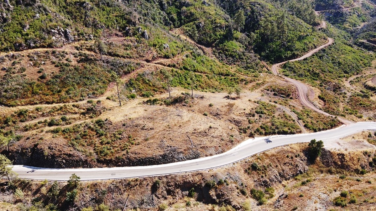 Muğla'da meydana gelen yangınlarda zarar gören ormanlık alanlar, ekiplerin yoğun çalışmasıyla...