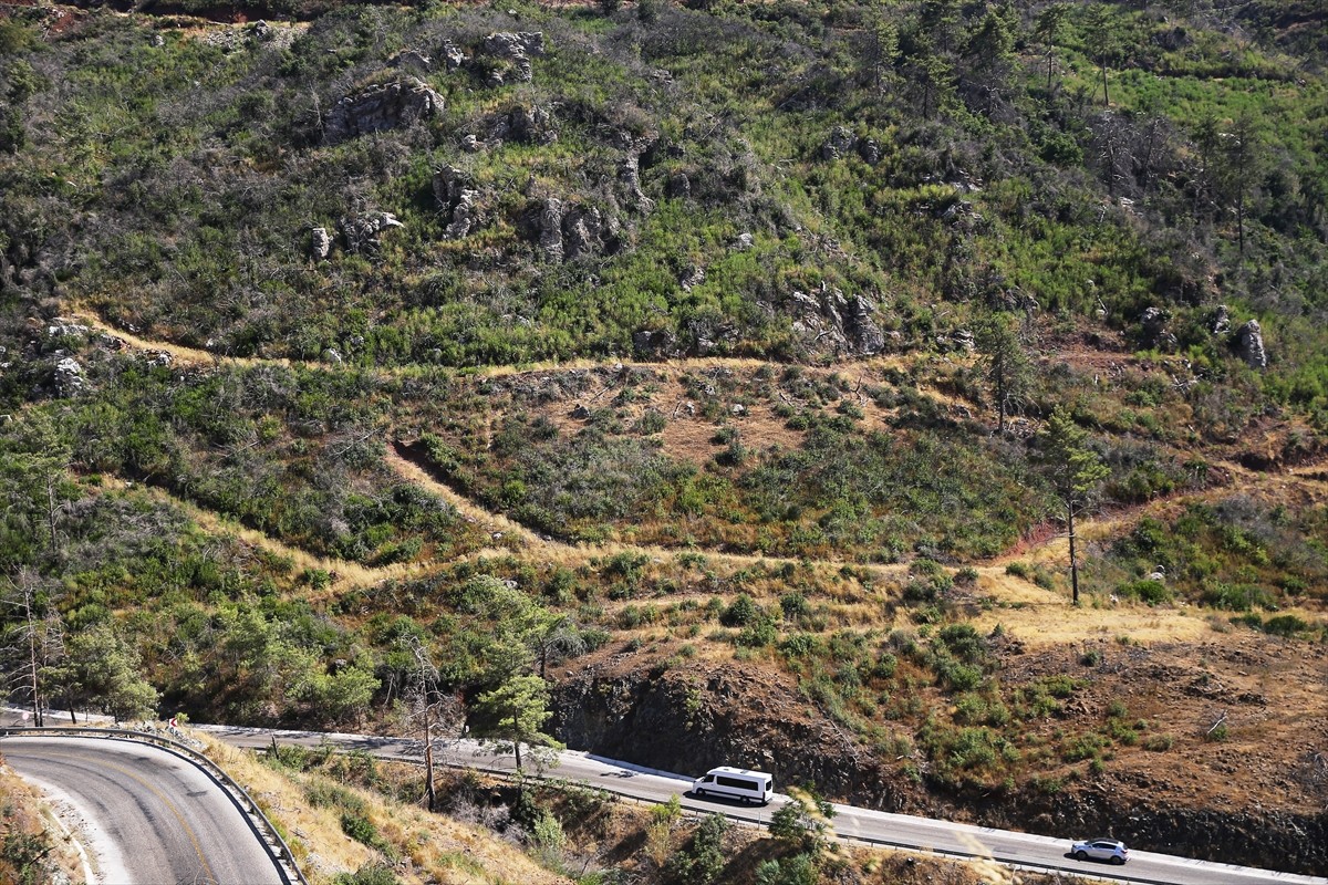 Muğla'da meydana gelen yangınlarda zarar gören ormanlık alanlar, ekiplerin yoğun çalışmasıyla...