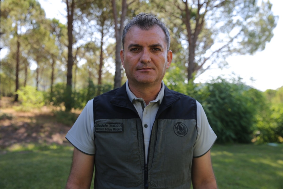 Muğla'da meydana gelen yangınlarda zarar gören ormanlık alanlar, ekiplerin yoğun çalışmasıyla...