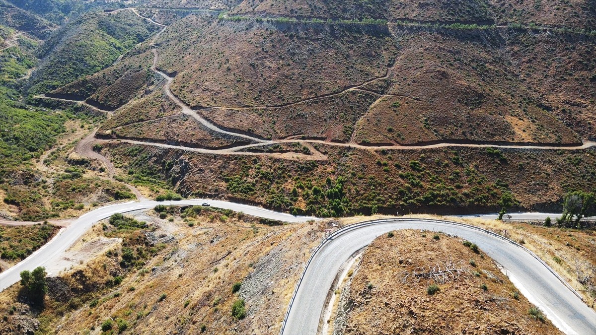 Muğla'da meydana gelen yangınlarda zarar gören ormanlık alanlar, ekiplerin yoğun çalışmasıyla...